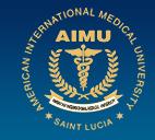 American International Medical University (Ukraine Education Services)